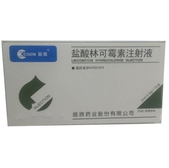 盐酸林可霉素注射液/洁霉素2ml：0.6g*10支